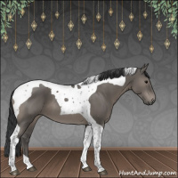 Horse Color:Grullo Tobiano