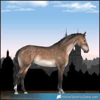 Horse Color:Brown Dun Tobiano