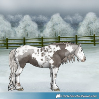 Horse Color:Silver Black Splash Tobiano
