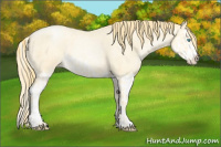 Horse Color:Buckskin Roan Pearl  and Buckskin Roan Pearl Splash 