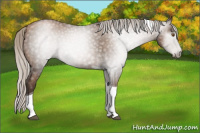Horse Color:Gray Silver Black Pearl Tobiano 