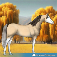 Horse Color:Amber Cream Champagne Dun Splash 