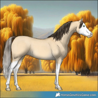 Horse Color:Amber Cream Champagne Dun Splash 