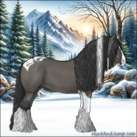 Horse Color:Grullo Splash Tobiano 
