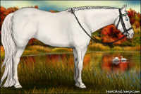 Horse Color:Cremello Dun 