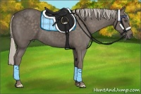 Horse Color:Silver Black Frame 