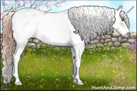 Horse Color:Watercolor Chestnut Sabino 
