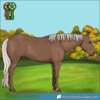 Horse Color:Silver Black 