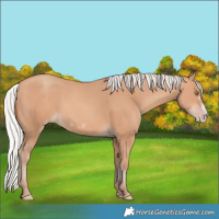 Horse Color:Silver Amber Champagne Frame 