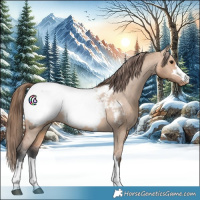 Horse Color:Bay Dun Snowcap 