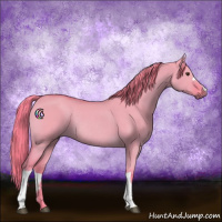 Horse Color:Watercolor Red Dun Rabicano