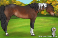 Horse Color:Brown Sabino Tobiano 