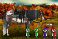 Horse Color:White Spotted Brown Tobiano 