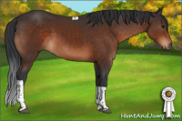 Horse Color:Brown Tobiano 