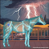 Horse Color:Thunderstruck Chestnut Tobiano