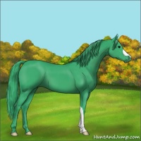 Horse Color:Watercolor Black 