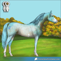 Horse Color:Watercolor Brown 