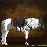 Horse Color:Grullo Tobiano 