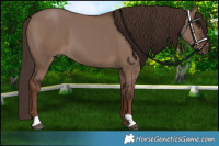 Horse Color:Liver Red Dun 