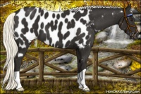 Horse Color:Liver Chestnut Mushroom Near Leopard 