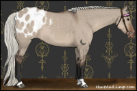 Horse Color:Liver Red Dun Mushroom Appaloosa
