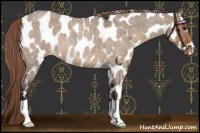 Horse Color:Liver Red Dun Roan Near Leopard