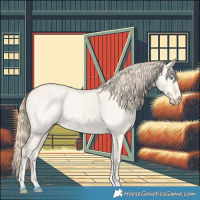 Horse Color:Perlino Dun Tobiano 
