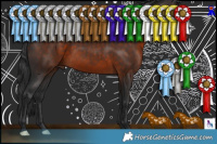 Horse Color:Brown 