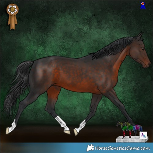Horse Color:Brown 