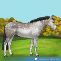 Horse Color:White Spotted Smoky Grullo Ice 