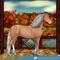Horse Color:White Spotted Silver Classic Champagne 
