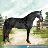 Horse Color:Gray Void Liver Chestnut Tobiano