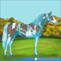 Horse Color:Thunderstruck Silver Black Splash Tobiano 