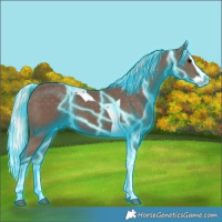 Horse Color:Thunderstruck Silver Black Splash Tobiano 