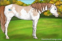 Horse Color:Red Dun Splash Tobiano 