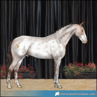 Horse Color:Sable Champagne Roan Sabino Frame 