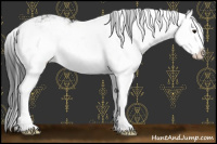 Horse Color:Grullo Sabino Splash