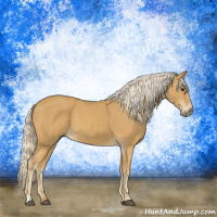 Horse Color:Palomino