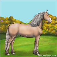 Horse Color:Silver Amber Champagne Frame 