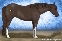 Horse Color:Liver Chestnut  and Liver Chestnut 