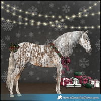 Horse Color:Chocolate Palomino Tobiano  and Gray Chocolate Palomino 