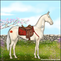 Horse Color:Palomino Pearl 