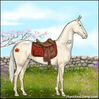 Horse Color:Palomino Pearl