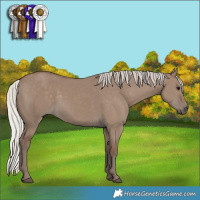 Horse Color:Silver Grullo 