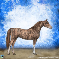 Horse Color:Liver Chestnut  and Gold Champagne 