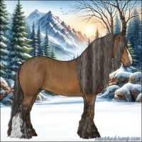 Horse Color:Chocolate Palomino  and Buckskin 