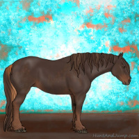 Horse Color:Liver Chestnut  and Liver Chestnut 