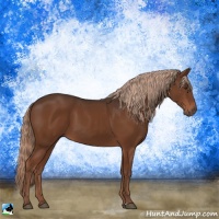 Horse Color:Liver Chestnut Sabino