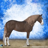 Horse Color:Liver Chestnut Splash Rabicano 