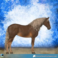 Horse Color:Chocolate Palomino Sabino